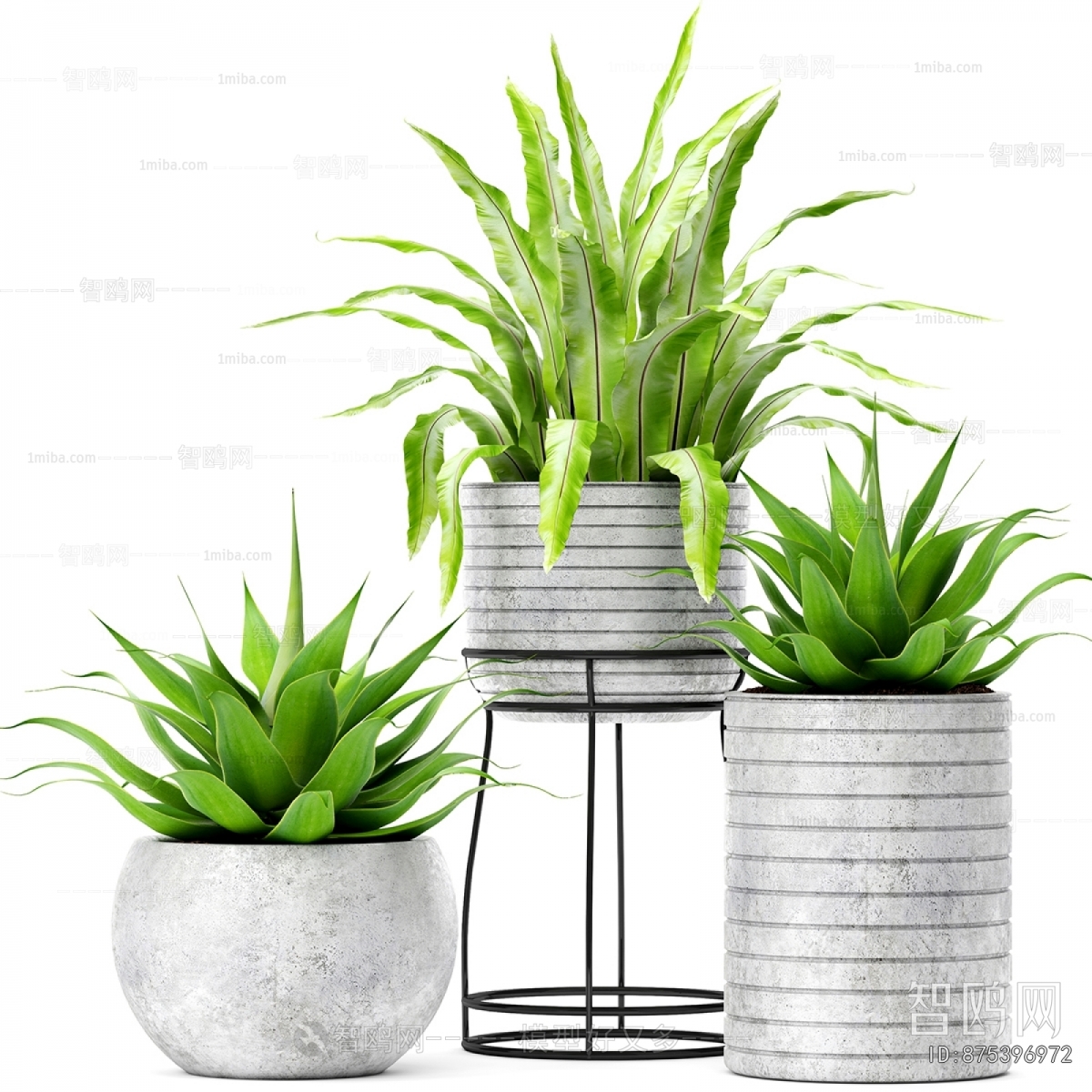 Modern Ground Green Plant Potted Plants