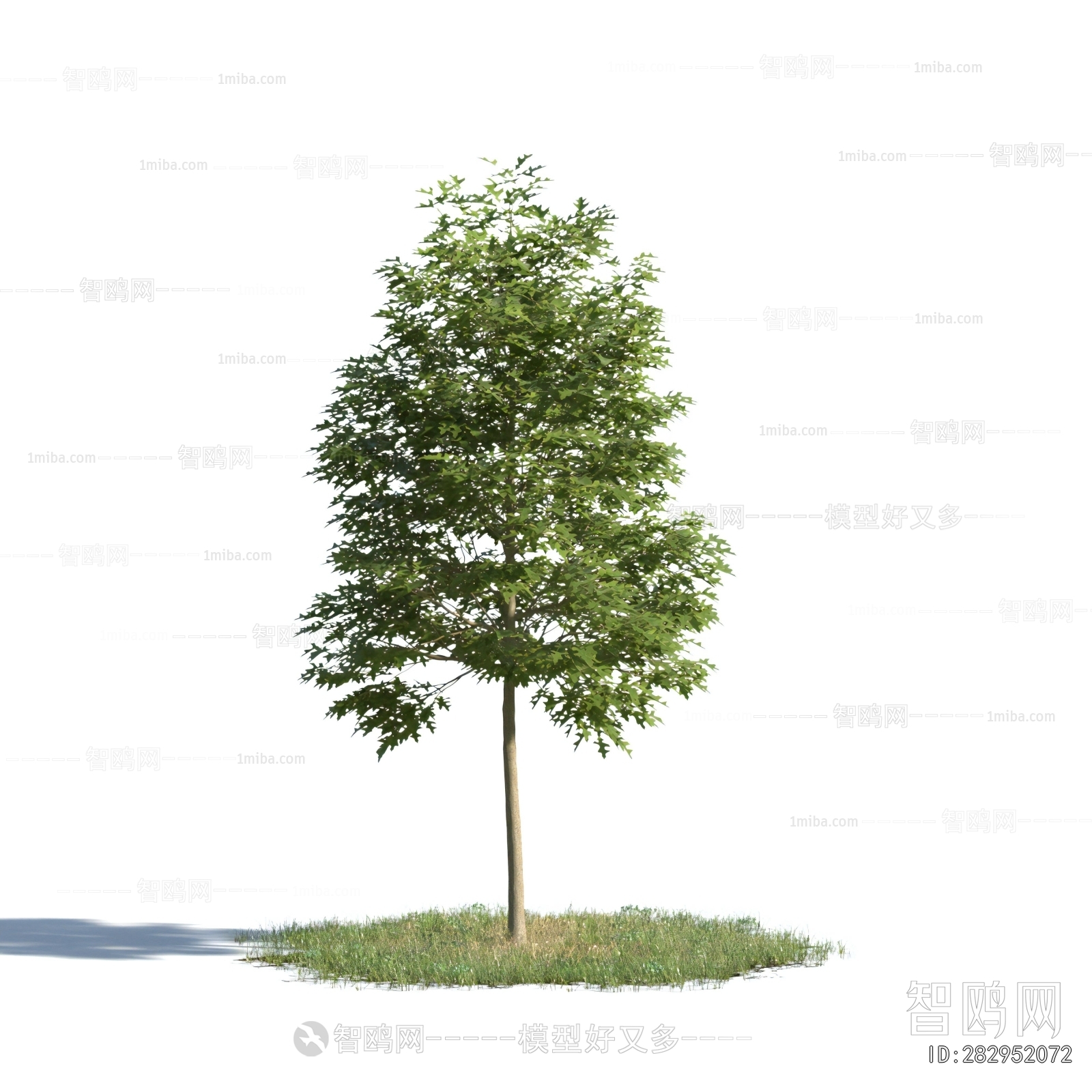 Modern Tree