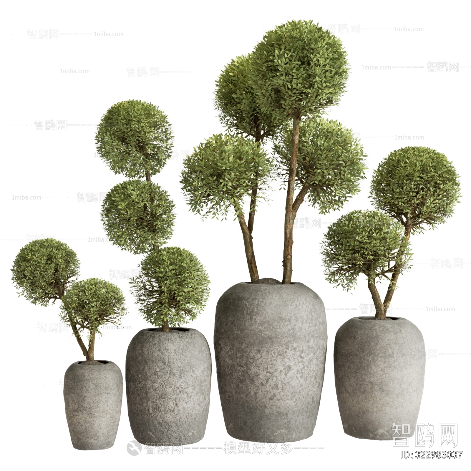 Modern Ground Green Plant Potted Plants