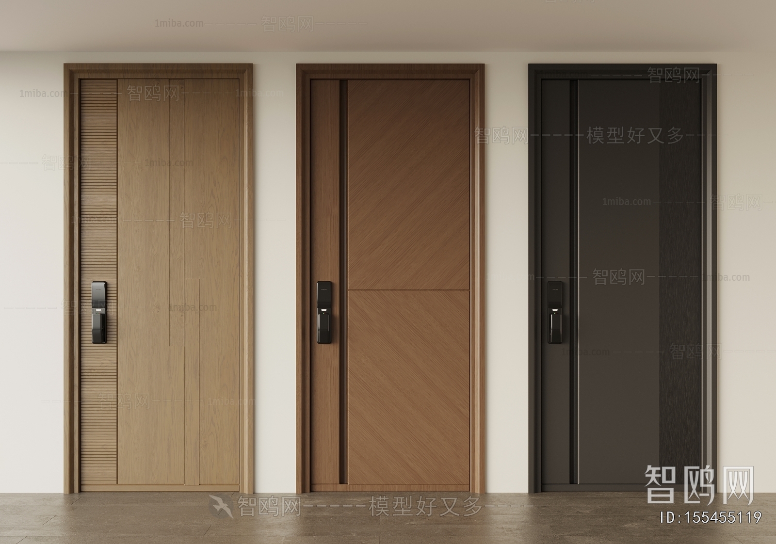 Modern Entrance Door