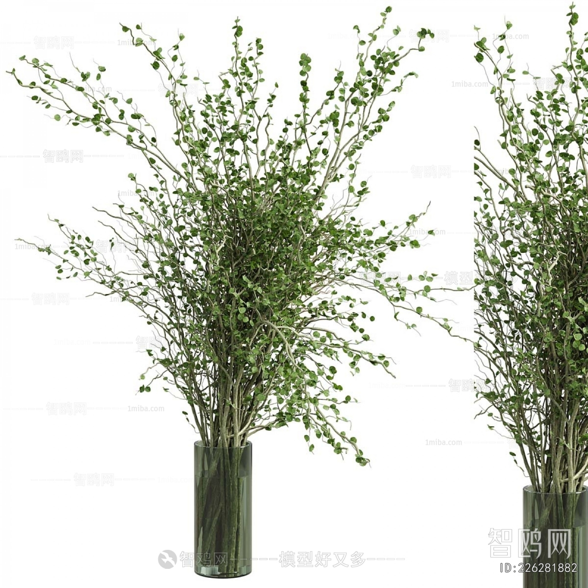 Modern Aquatic Green Plant