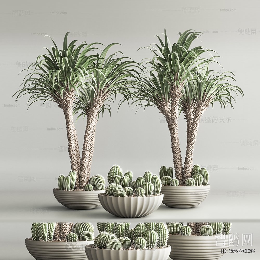 Modern Ground Green Plant Potted Plants