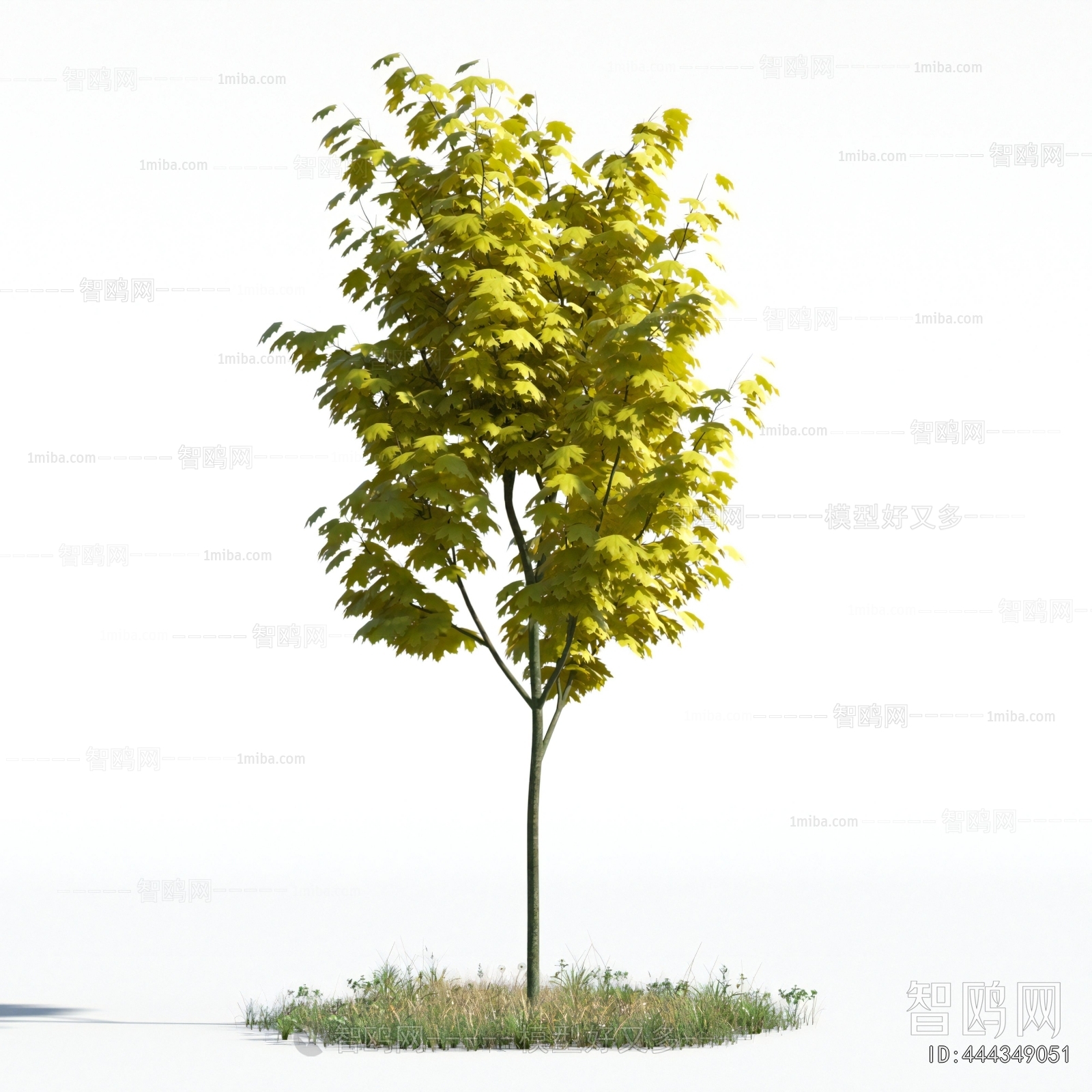 Modern Tree