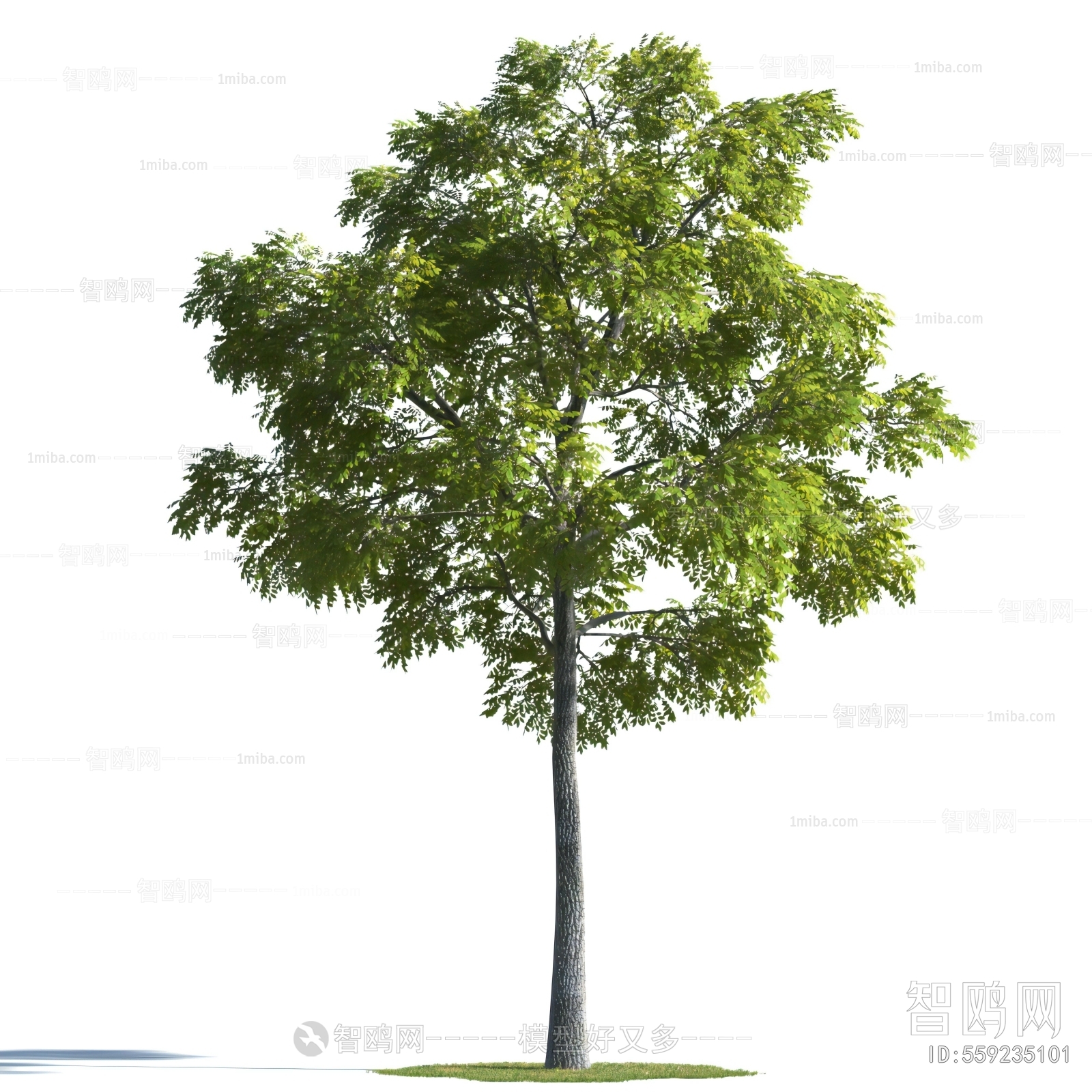 Modern Tree