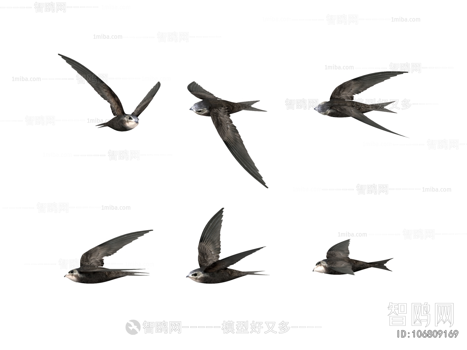 Modern Flying Animals