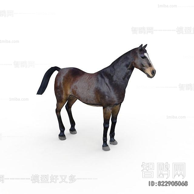 Modern Animal Horse