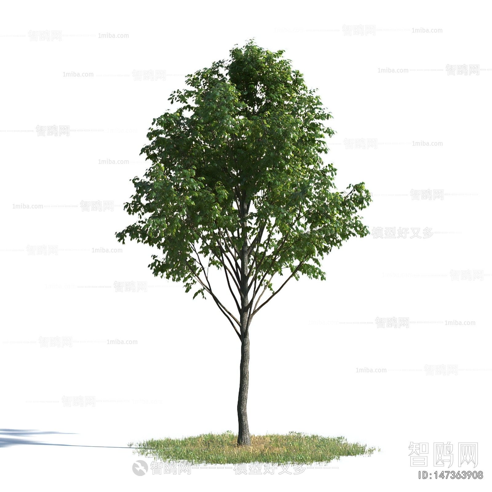 Modern Tree
