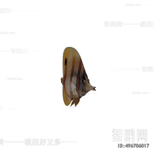 Modern Aquatic Animals