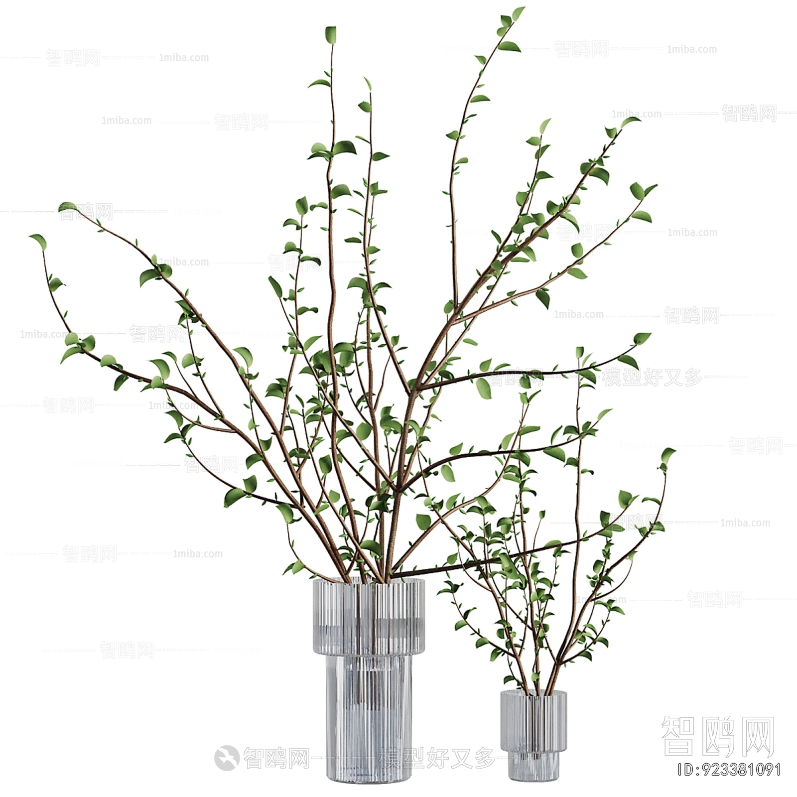 Modern Aquatic Green Plant