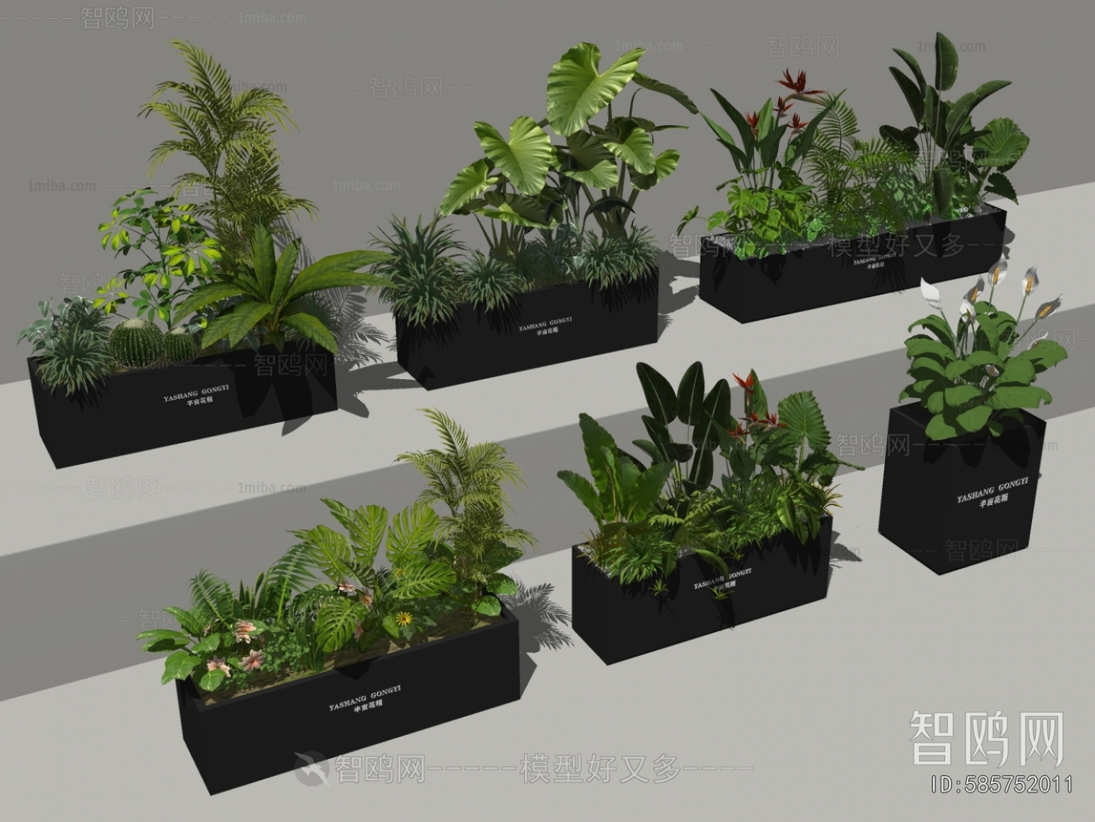 Modern Flower Bed, Flower Bowl, Flower Box