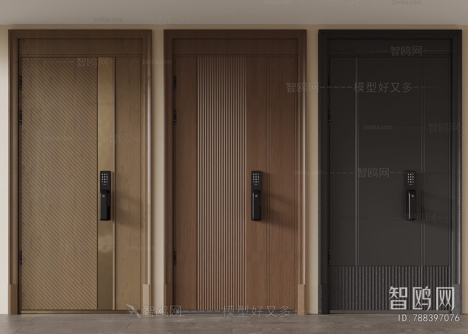 Modern Entrance Door