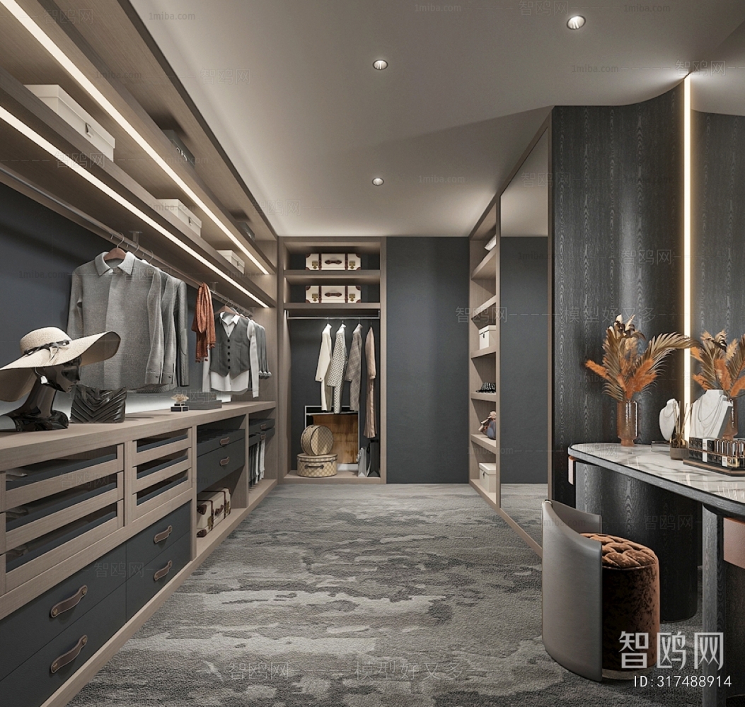 Modern Clothes Storage Area