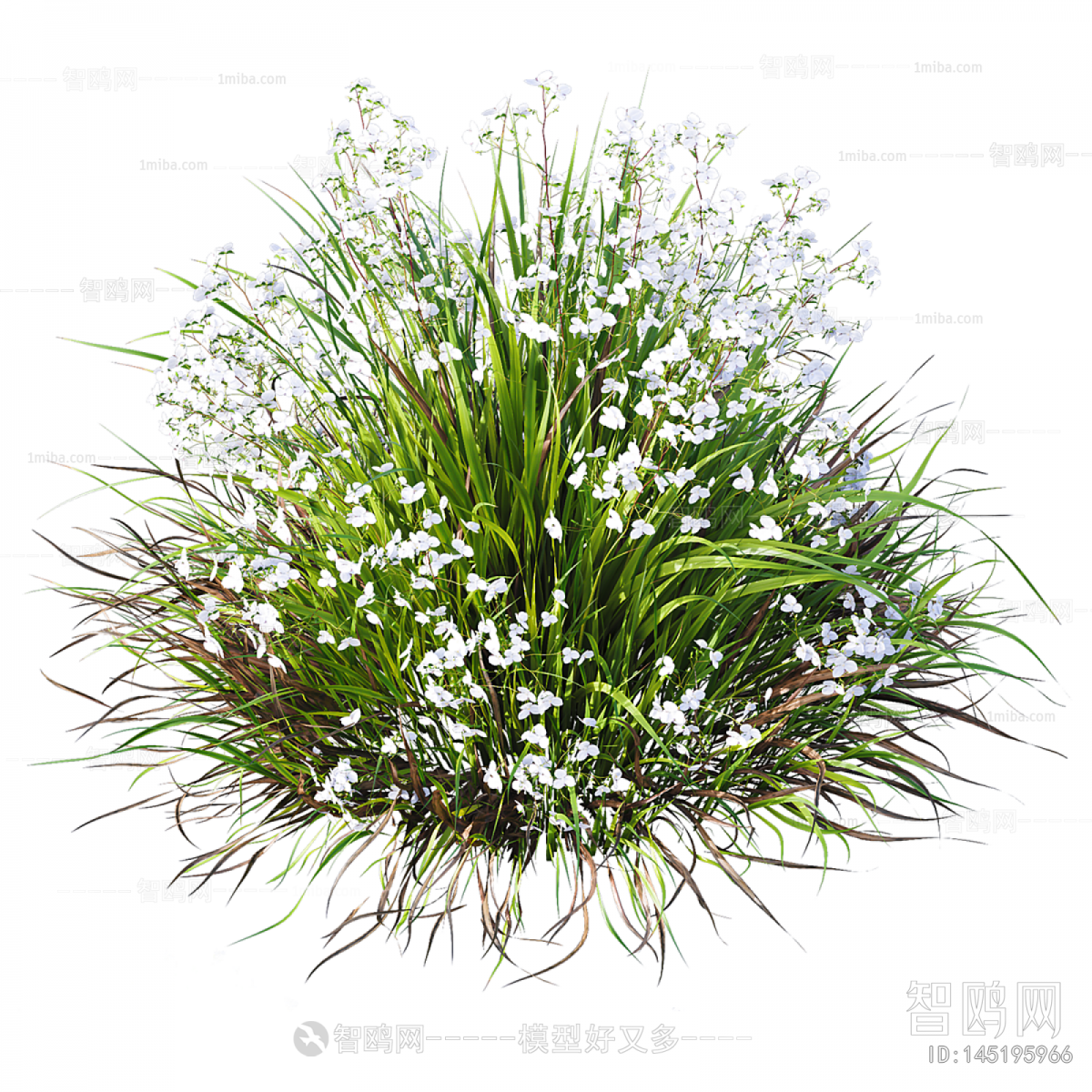 Modern Flowers And Grass