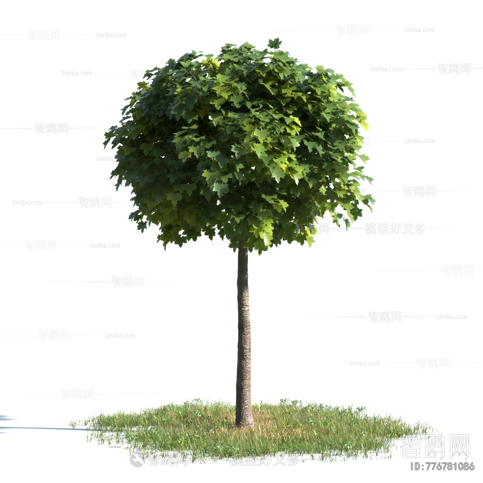 Modern Tree