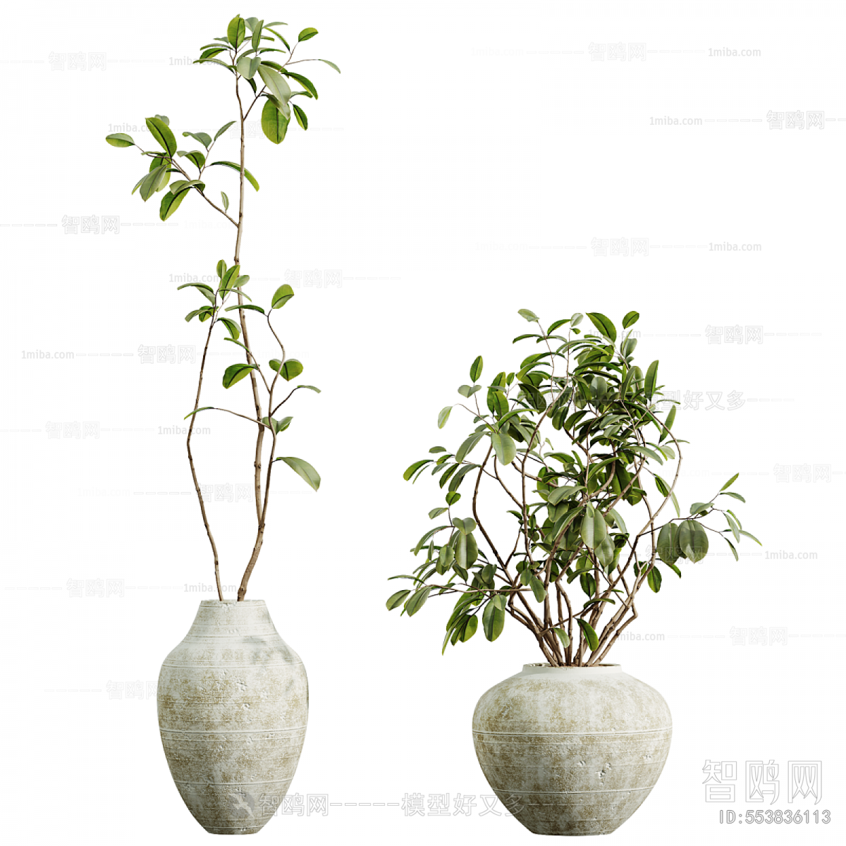 Modern Ground Green Plant Potted Plants