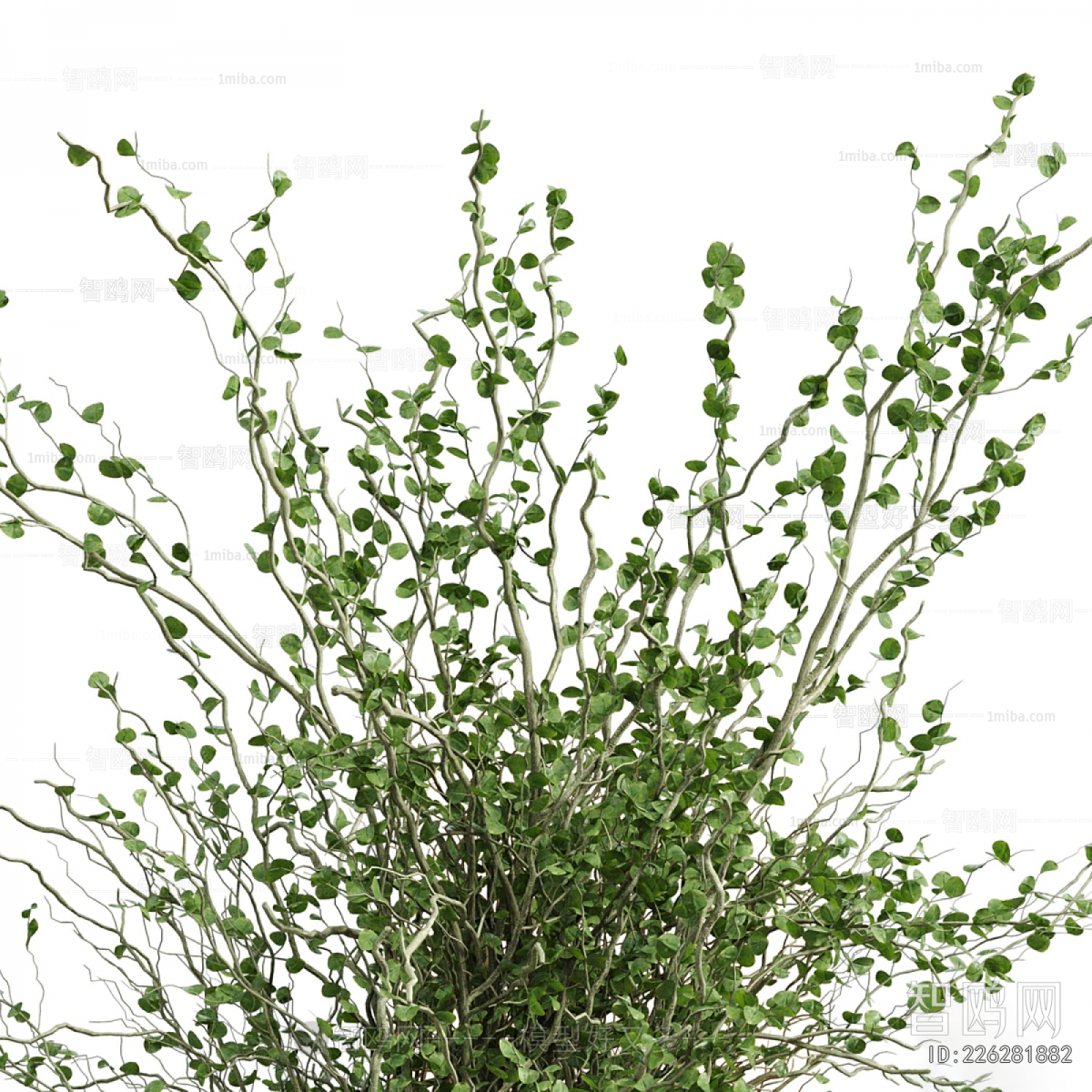 Modern Aquatic Green Plant