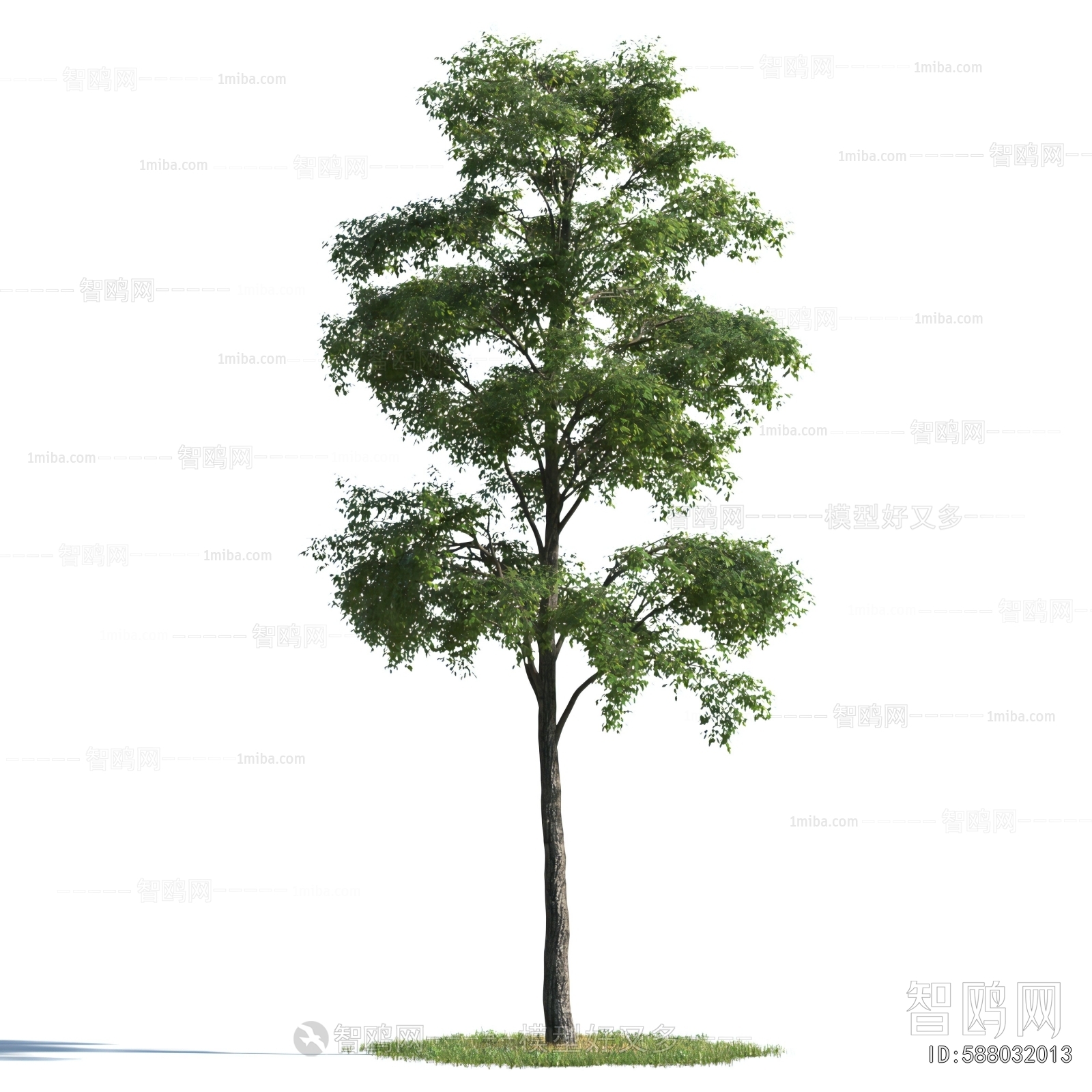 Modern Tree