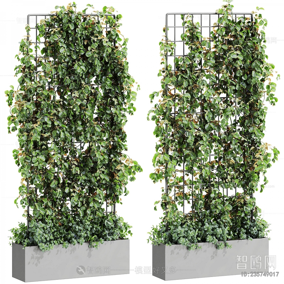 Modern Flower Bed, Flower Bowl, Flower Box