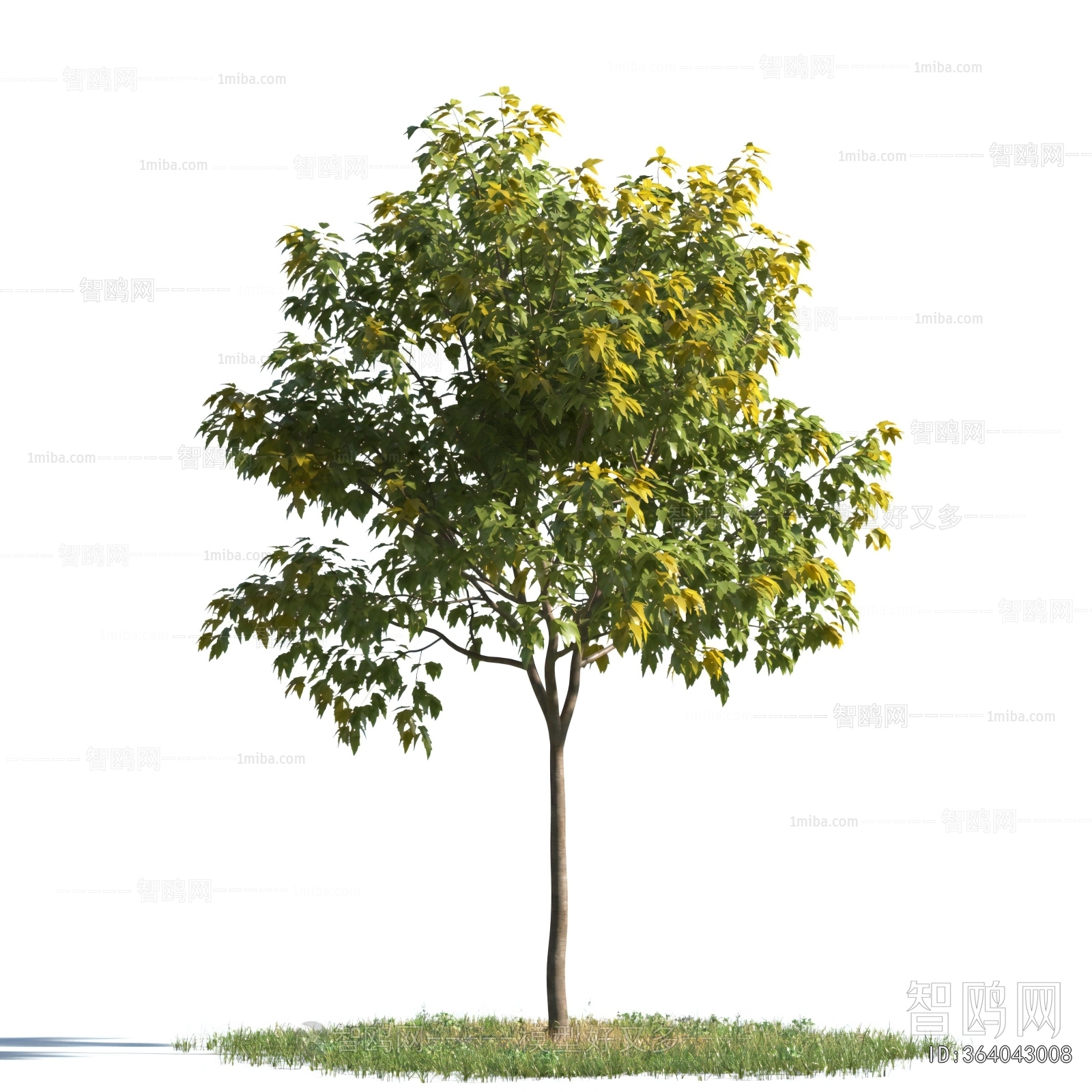 Modern Tree
