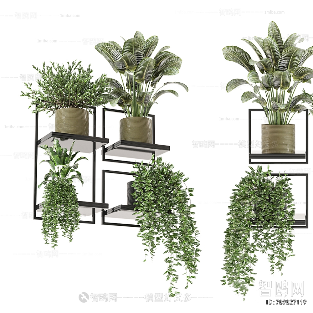 Modern Potted Green Plant