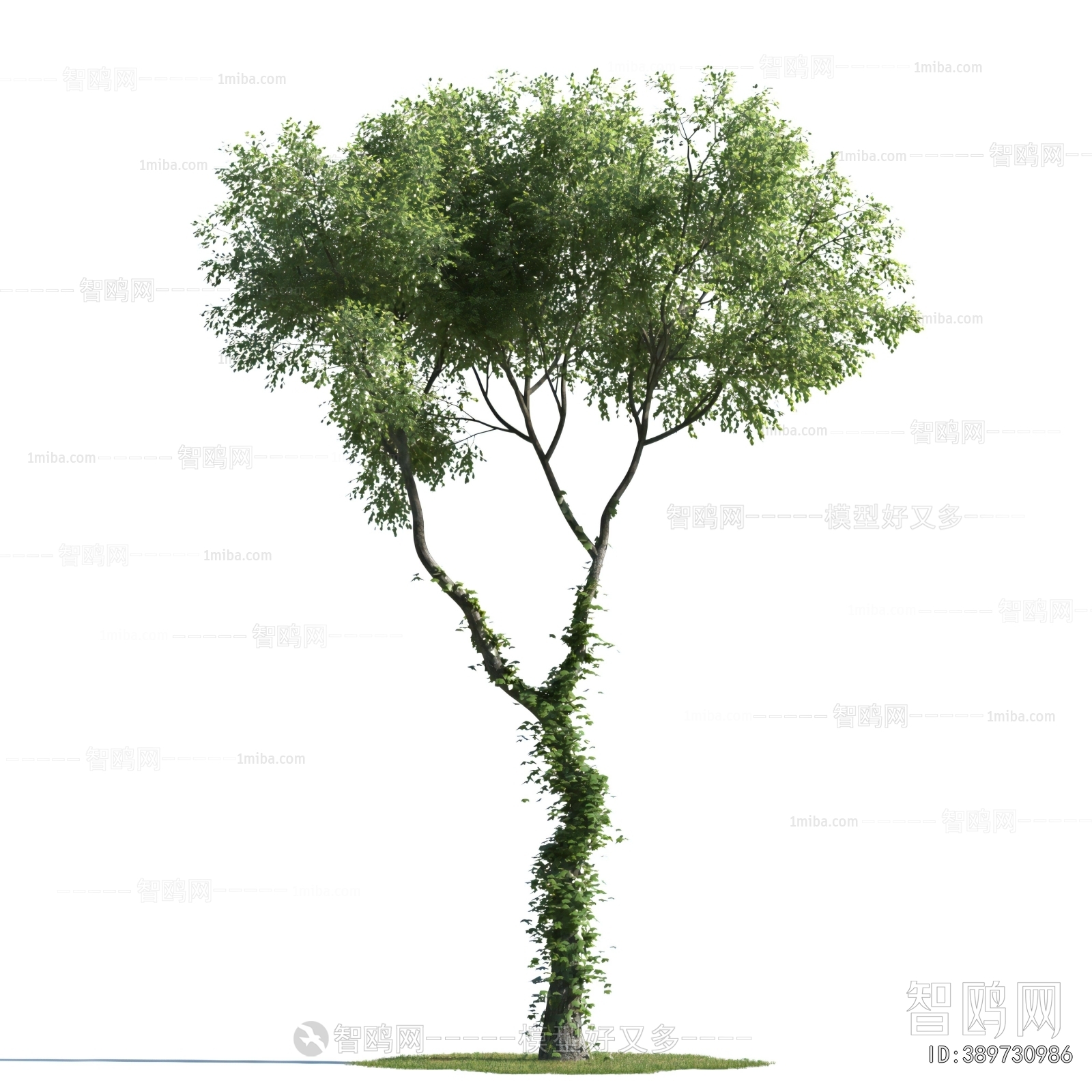 Modern Tree