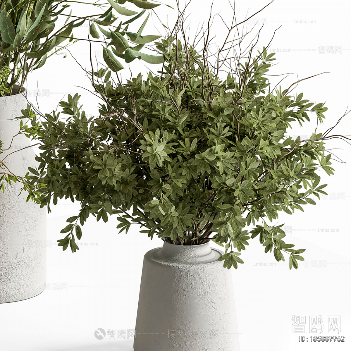 Modern Aquatic Green Plant