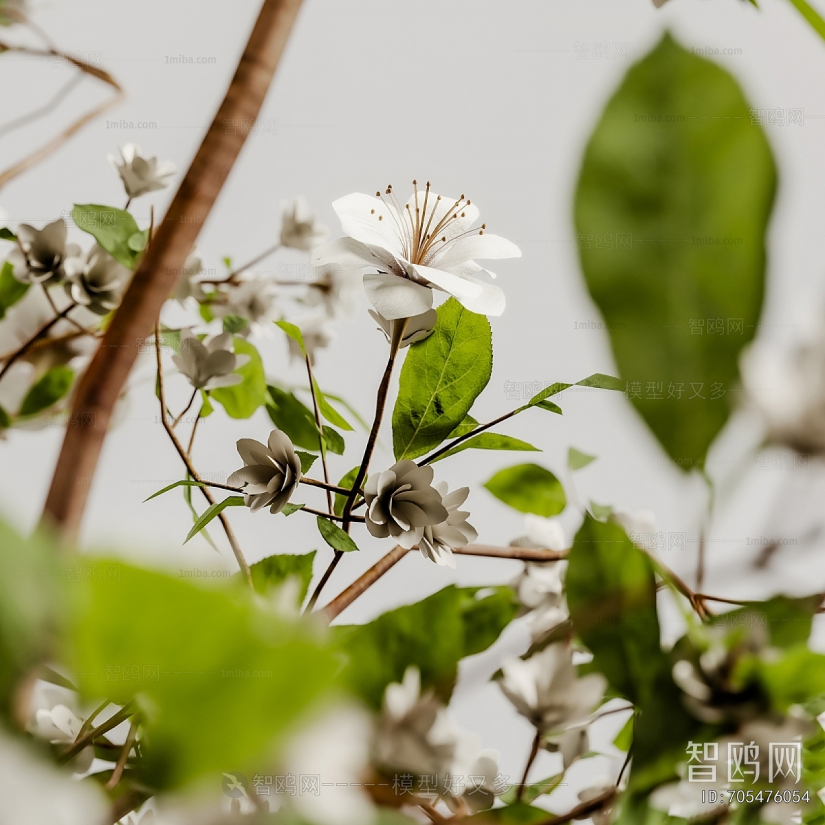 Modern Flower Arrangement