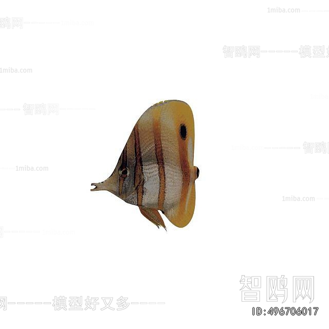 Modern Aquatic Animals