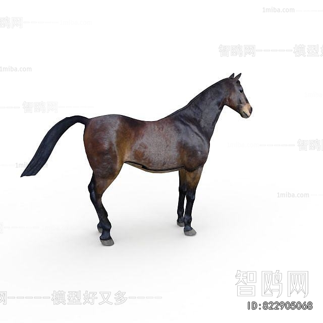 Modern Animal Horse