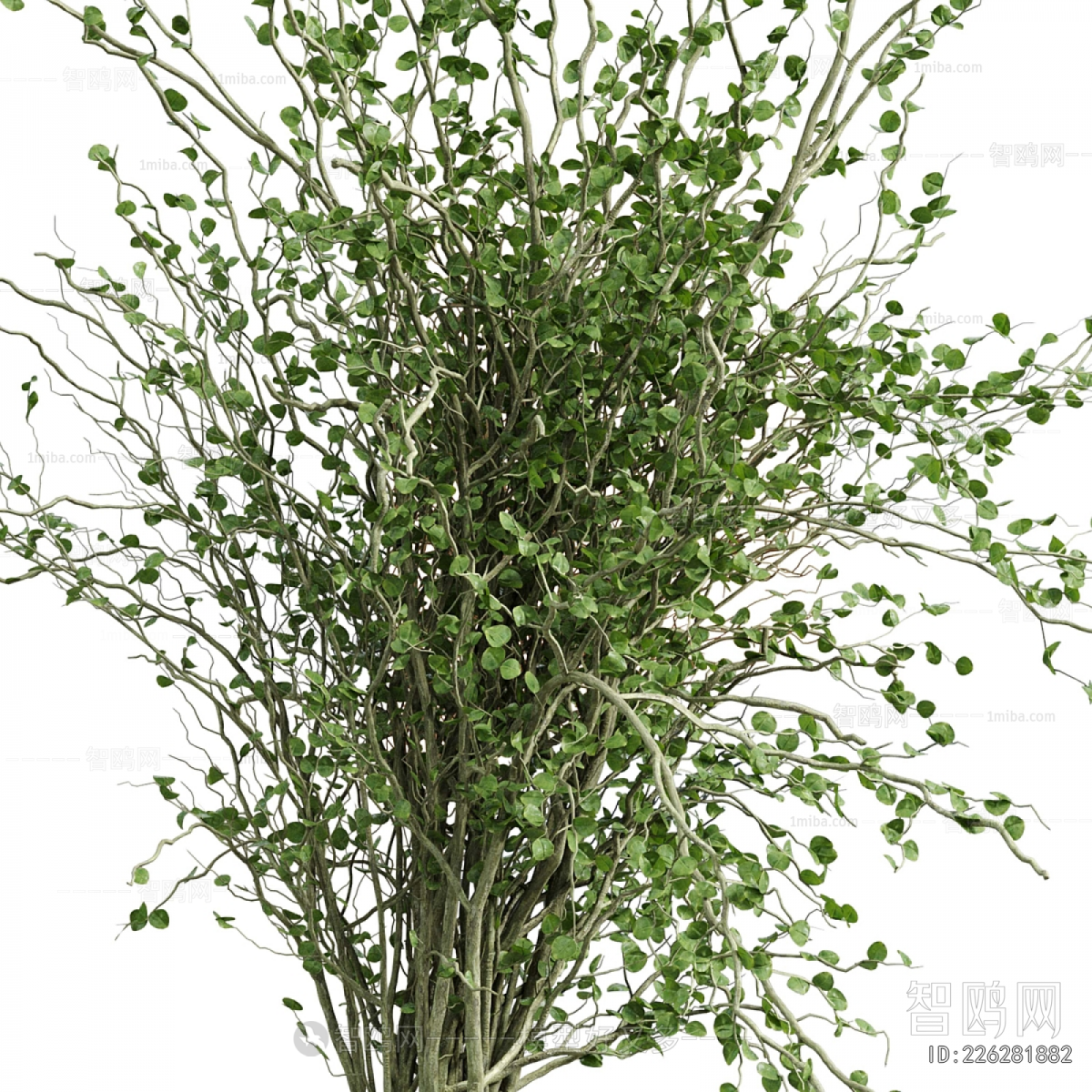 Modern Aquatic Green Plant