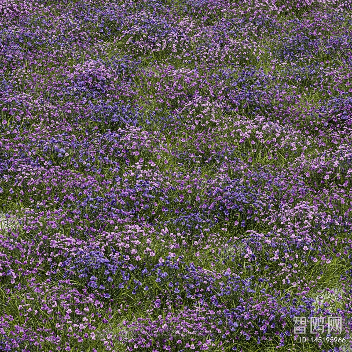 Modern Flowers And Grass