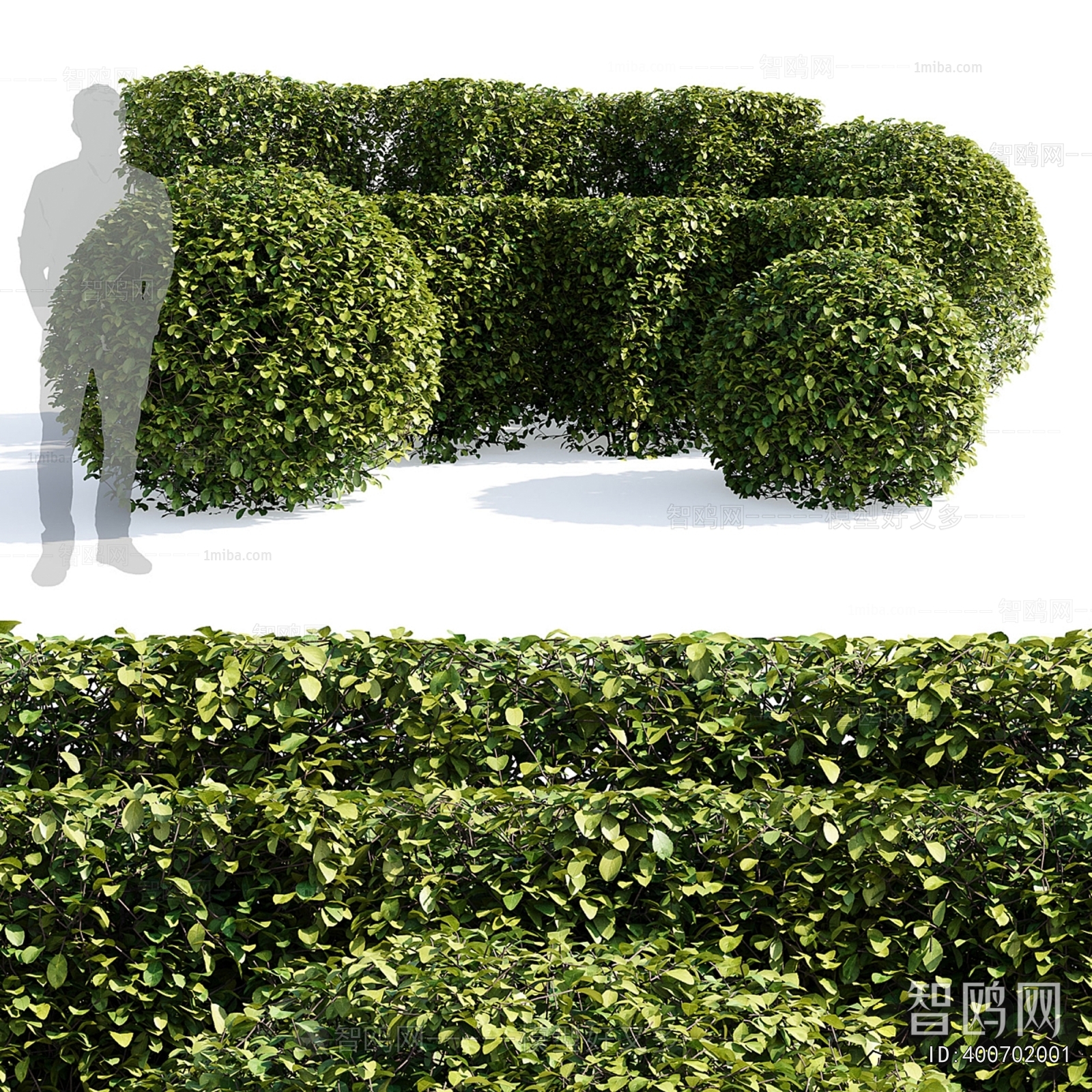 Modern Shrubbery