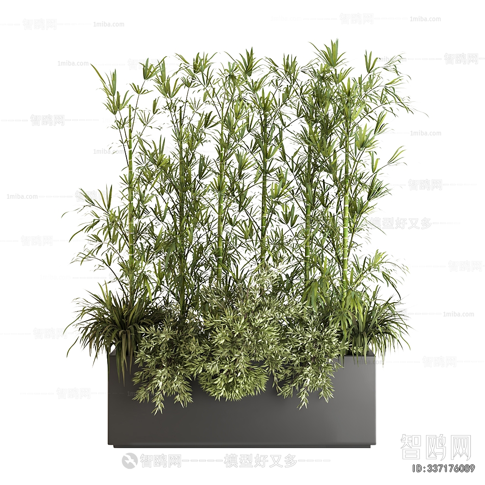 Modern Flower Bed, Flower Bowl, Flower Box