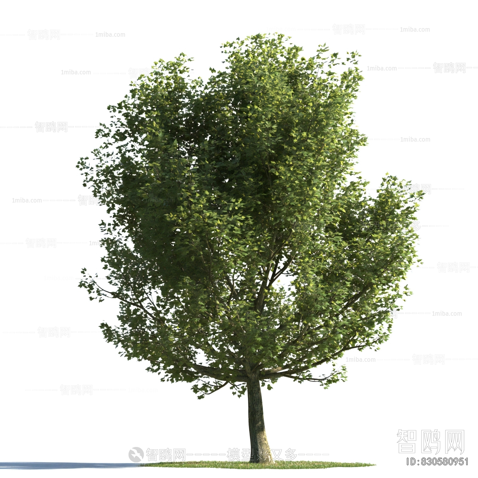 Modern Tree
