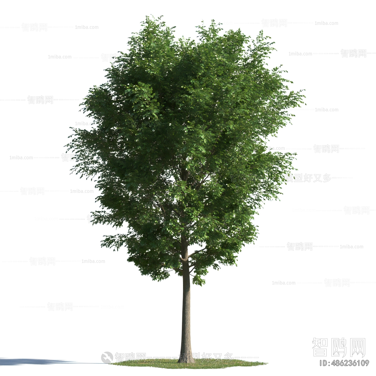Modern Tree