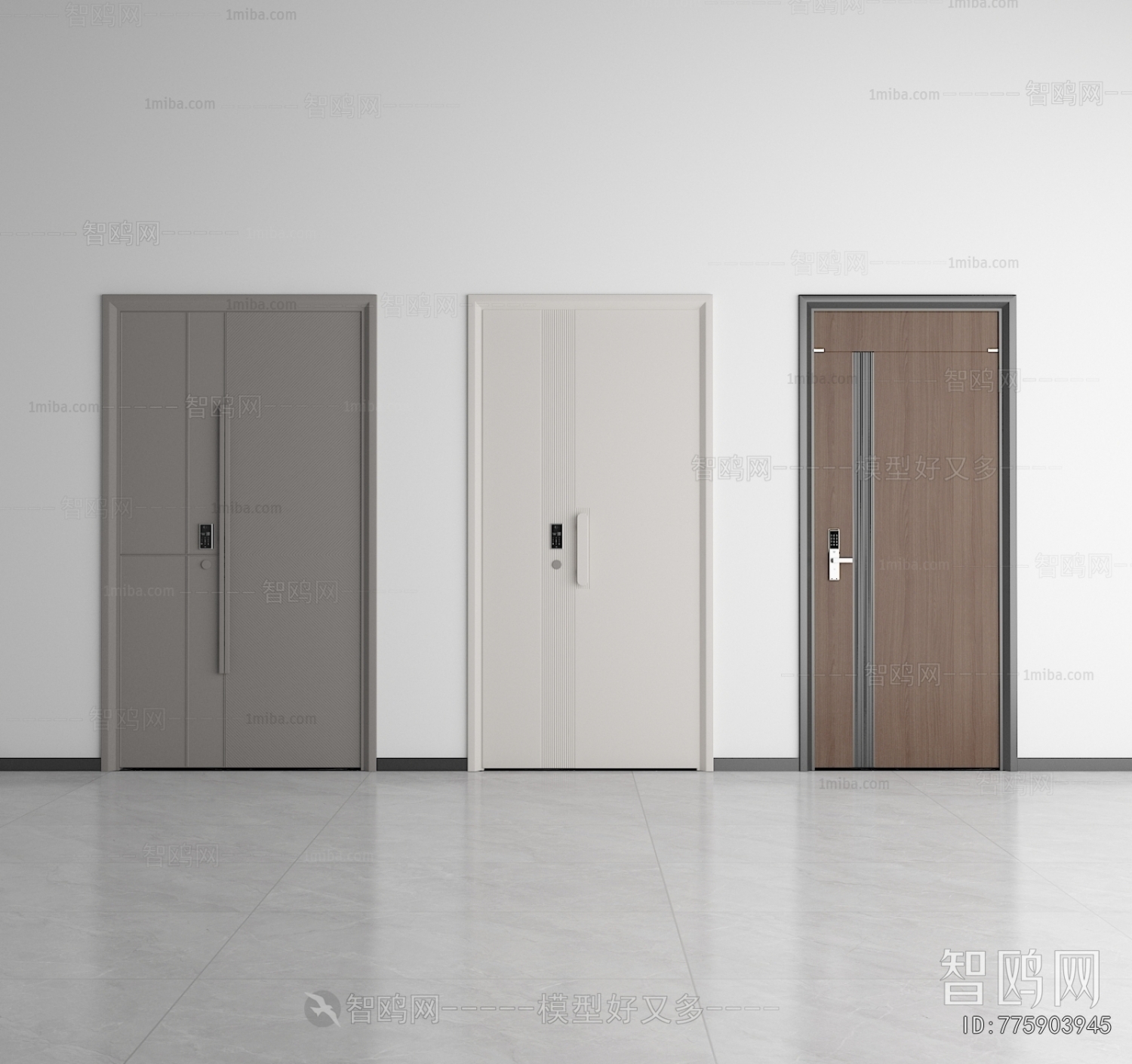 Modern Entrance Door