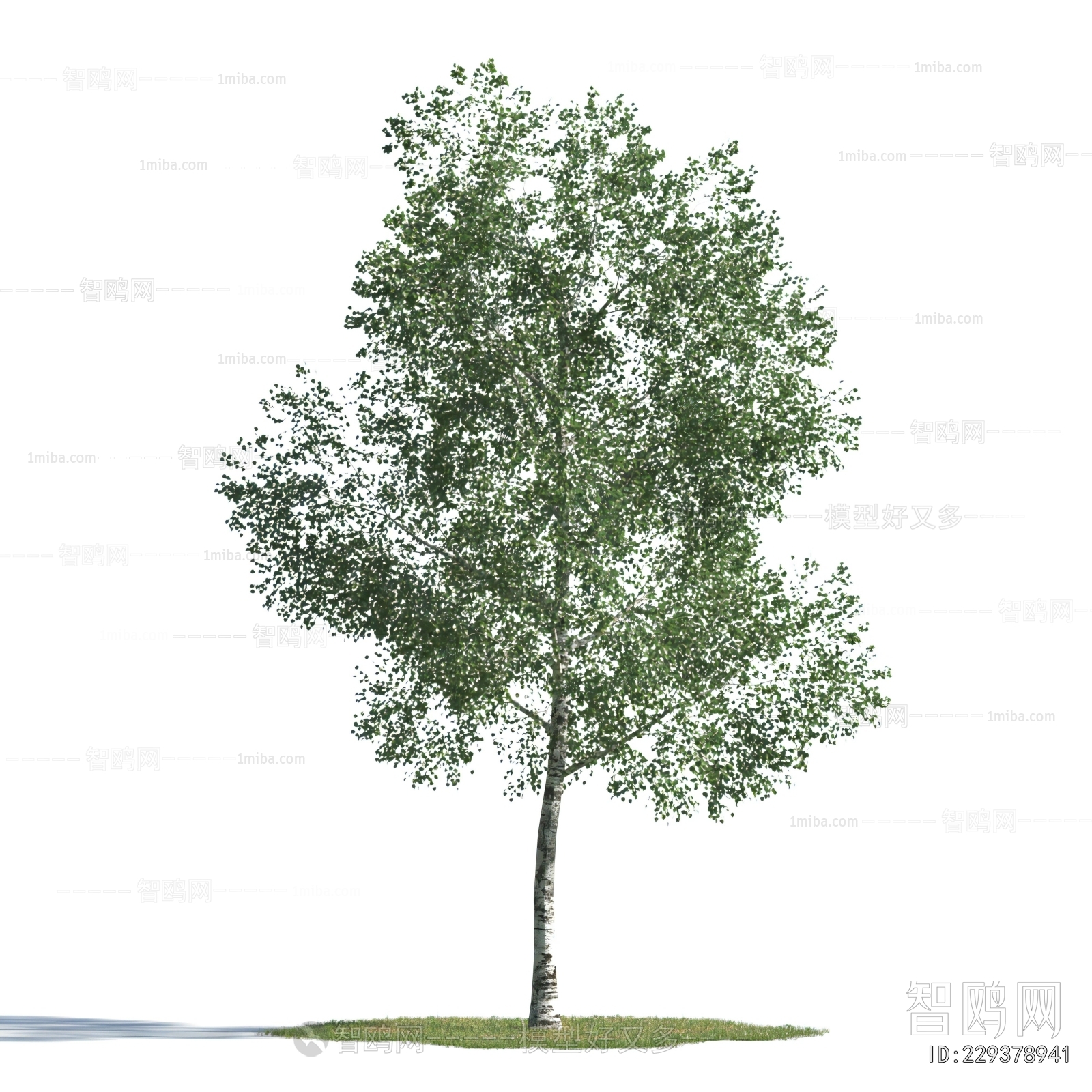 Modern Tree