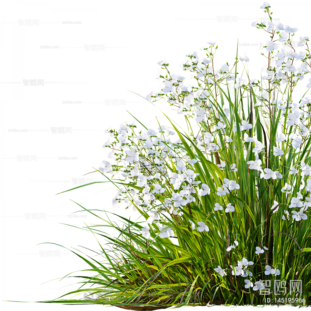 Modern Flowers And Grass