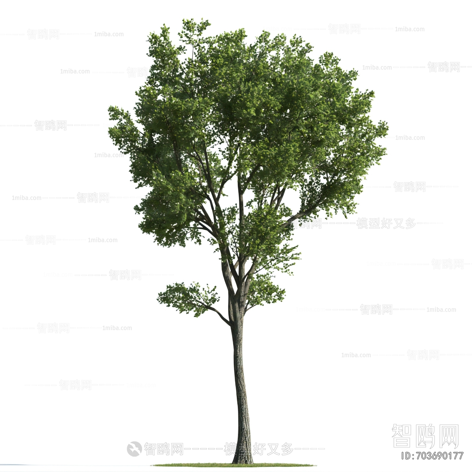 Modern Tree