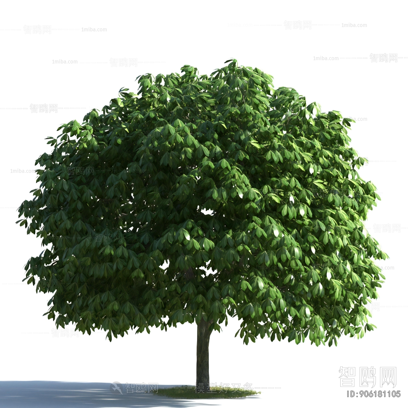 Modern Tree