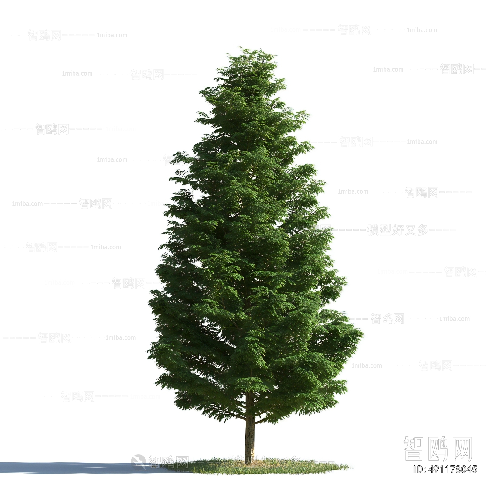 Modern Tree