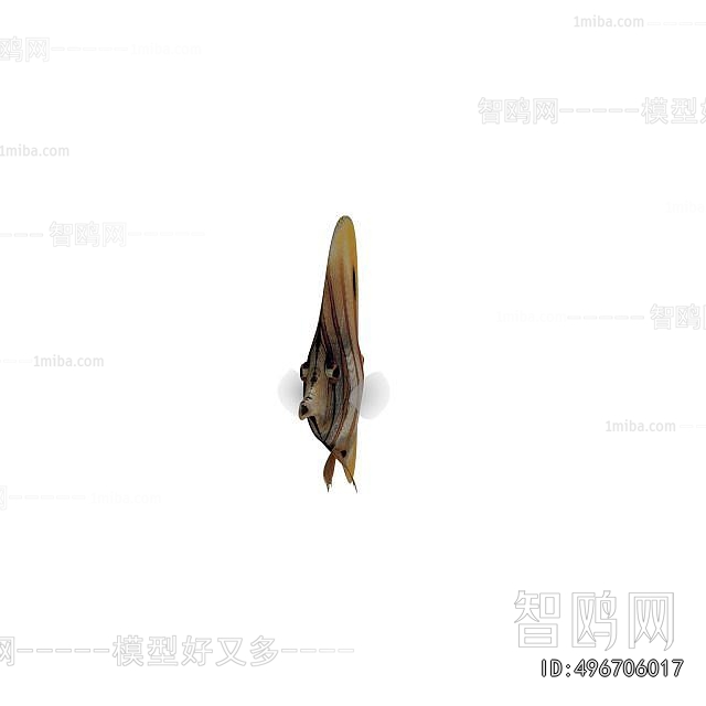 Modern Aquatic Animals