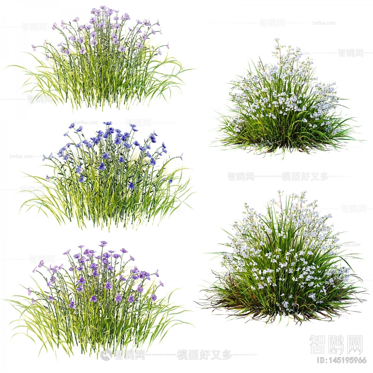 Modern Flowers And Grass