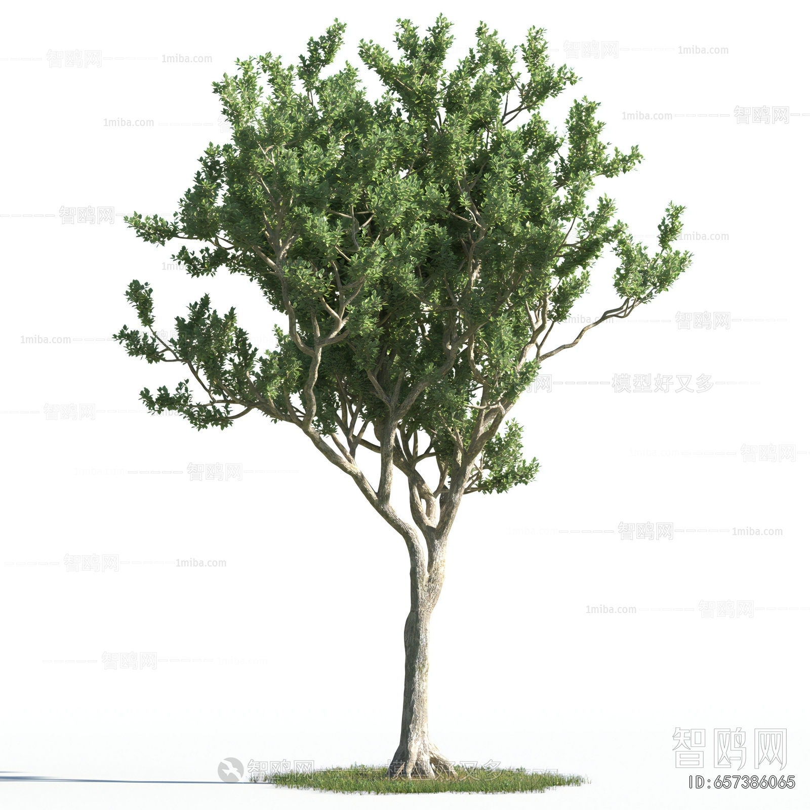 Modern Tree