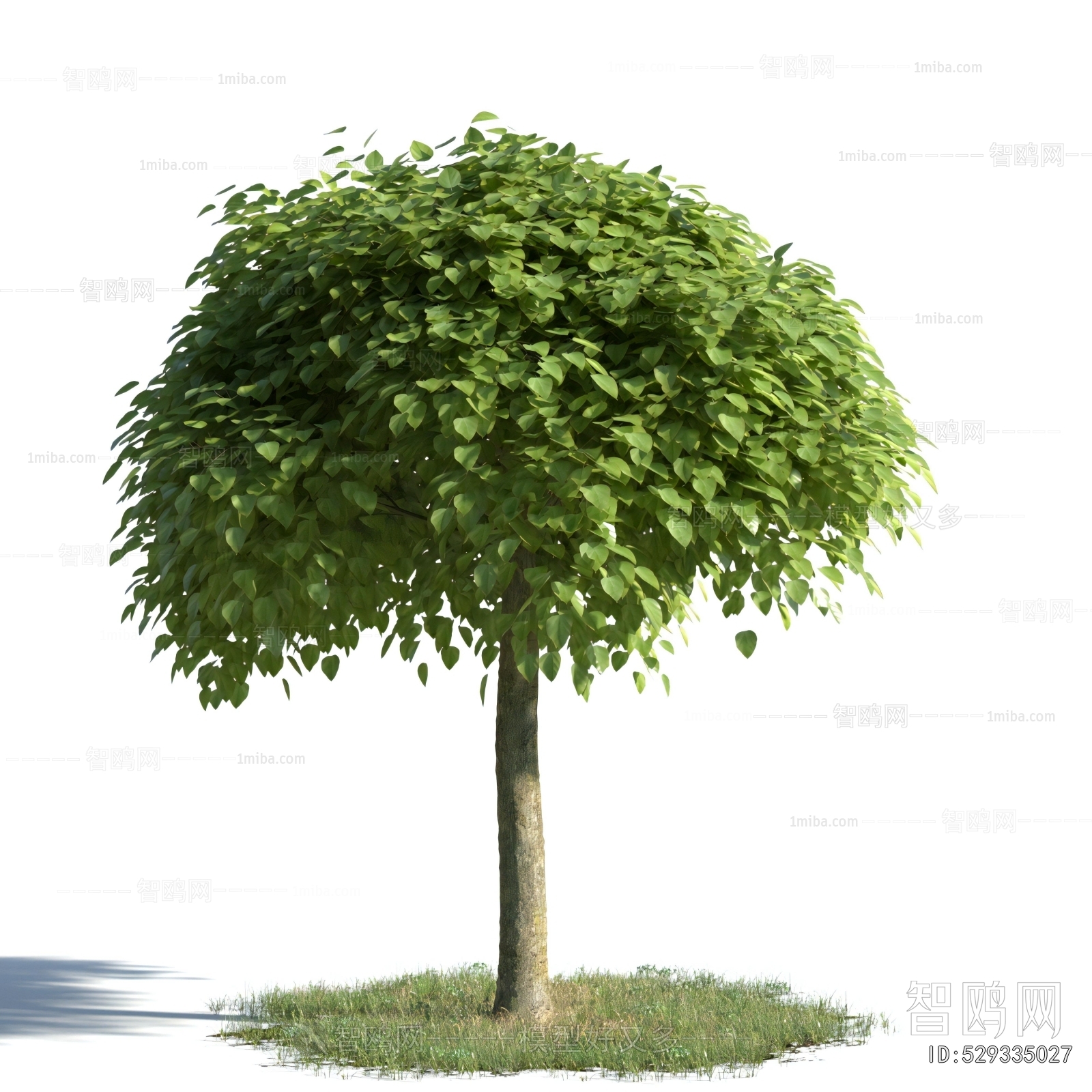 Modern Tree