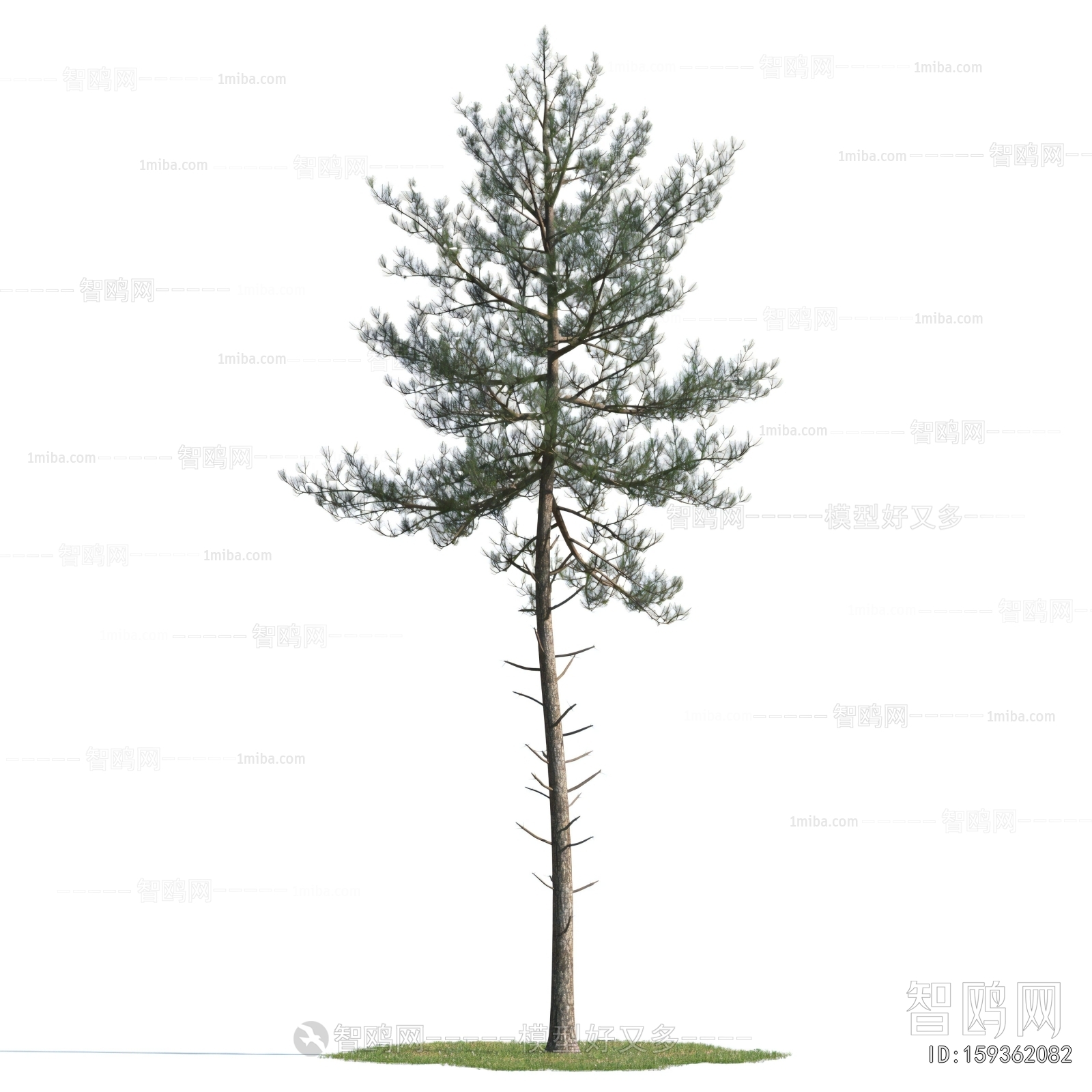 Modern Tree