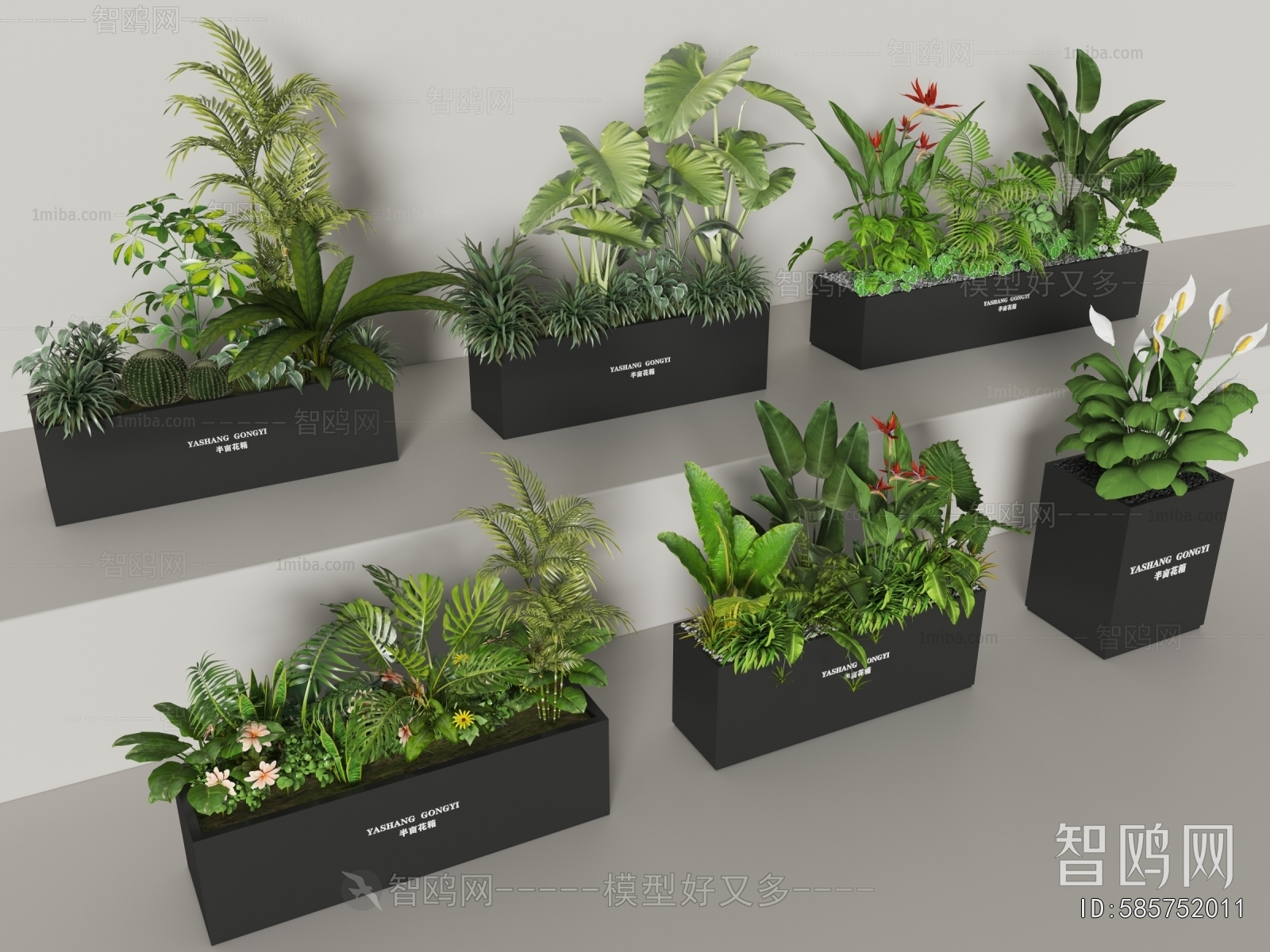 Modern Flower Bed, Flower Bowl, Flower Box