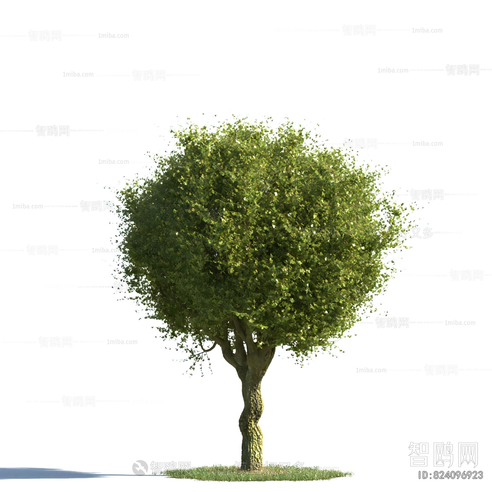 Modern Tree