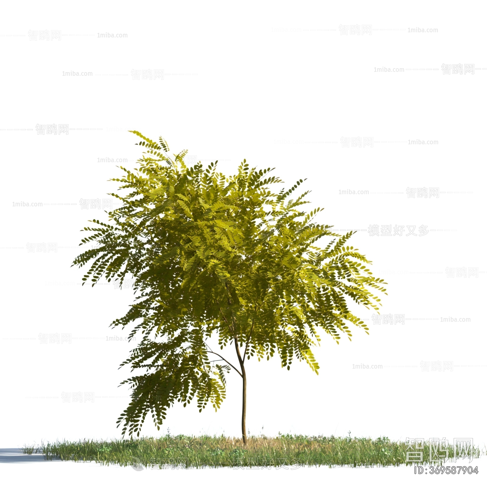Modern Tree