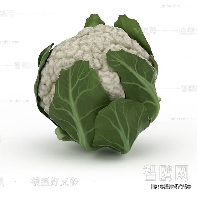 Modern Vegetables